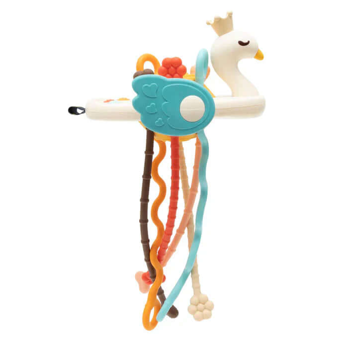 Centre d'activités sensorielles UFO