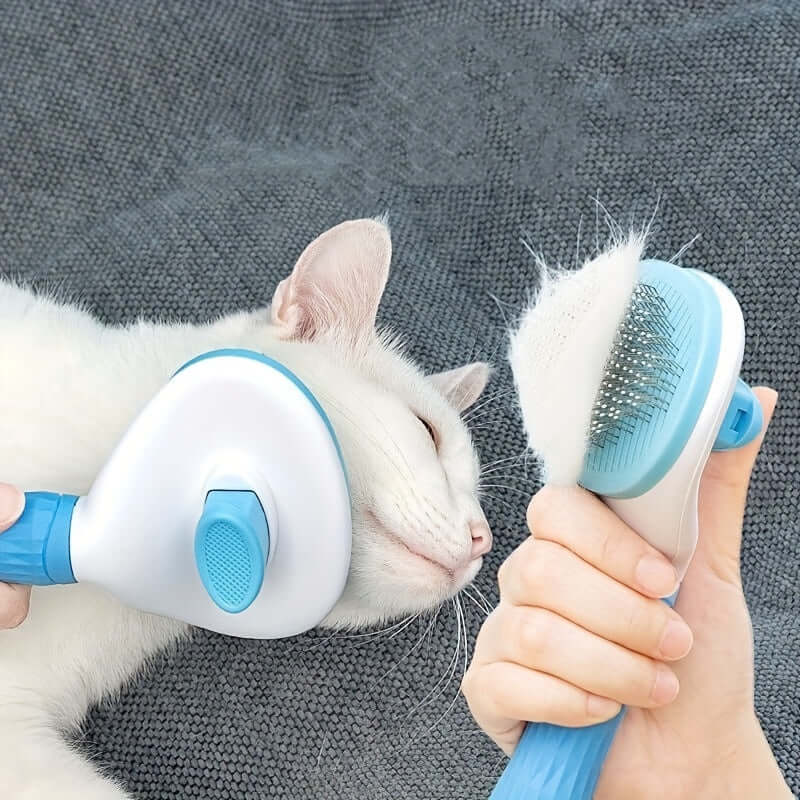 Brosse d'épilation pour animaux avec nettoyage en un clic
