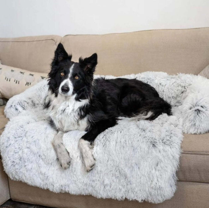 Kuscheliges Haustierbett Hundesofa