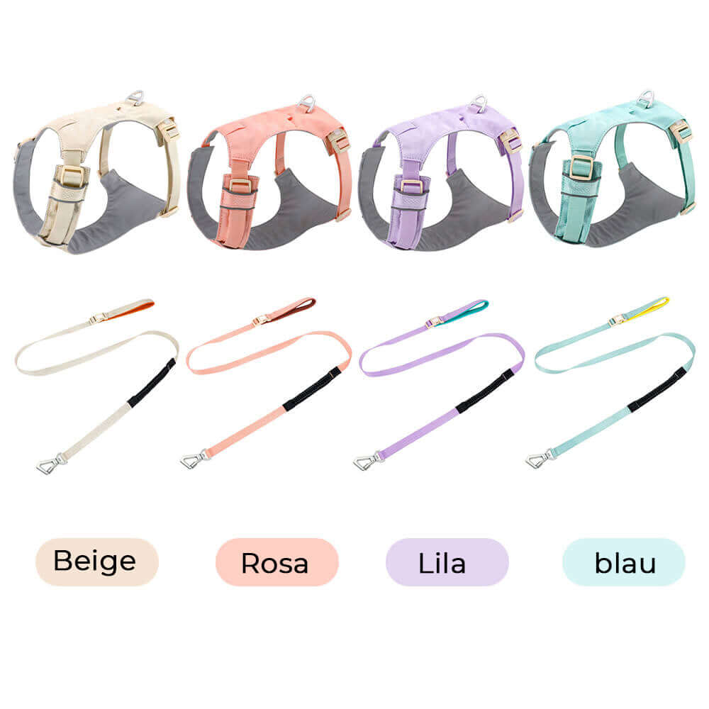 Ensemble harnais et laisse pour chien AquaCool - Anti-traction et imperméable