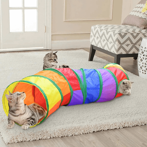 Tunnel de jeu pour chats, tunnel arc-en-ciel, pliable
