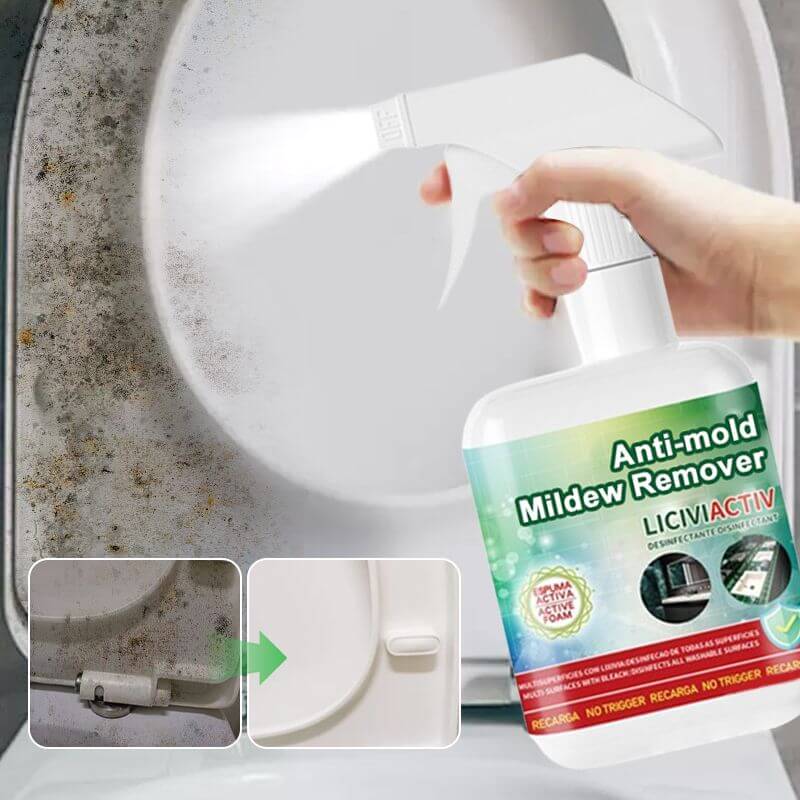 Spray anti-moisissure 300 ml
