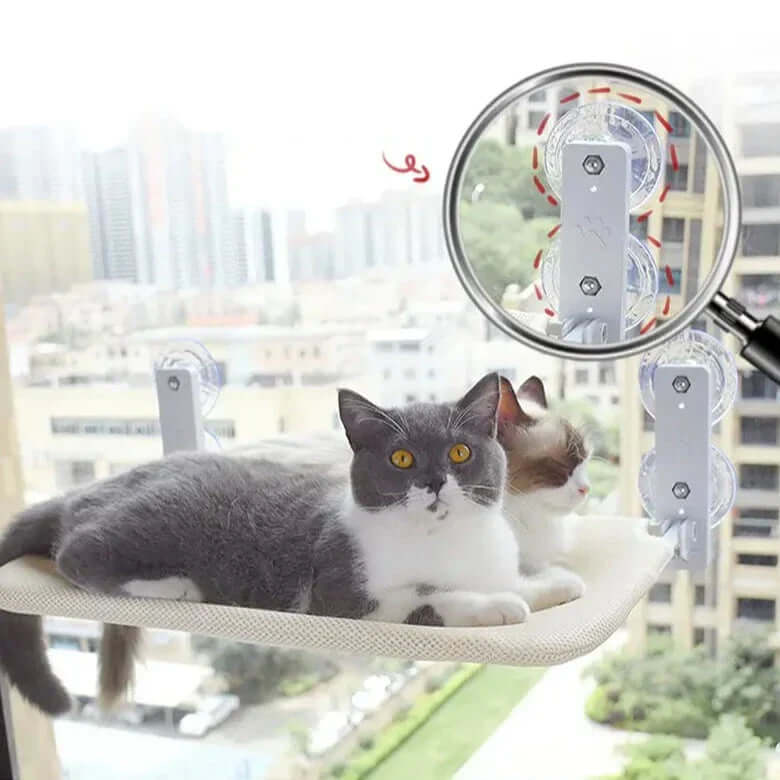 Hamac mural pour chats - vue panoramique