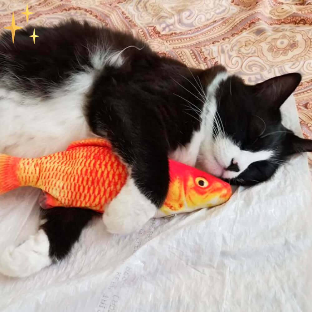 Ensemble de jouets interactifs pour chat - 4 poissons mobiles