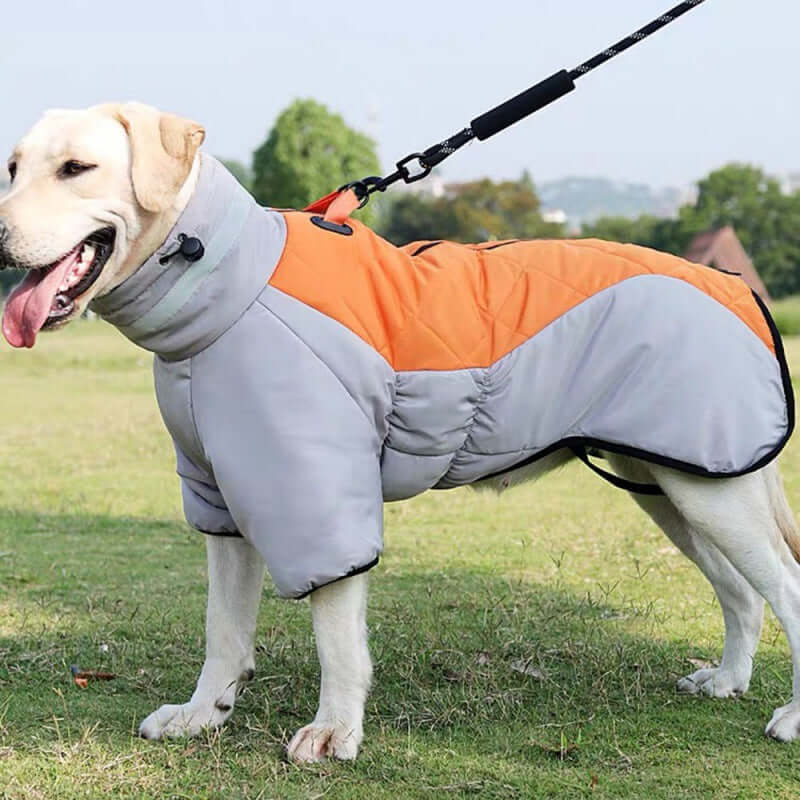 Wasserdichte Hundejacke für mittelgroße Hunde
