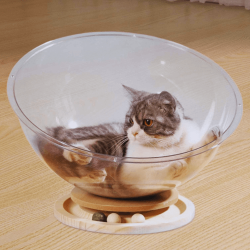 Grotte pour chat avec jouets - grotte de jeu pour câlins