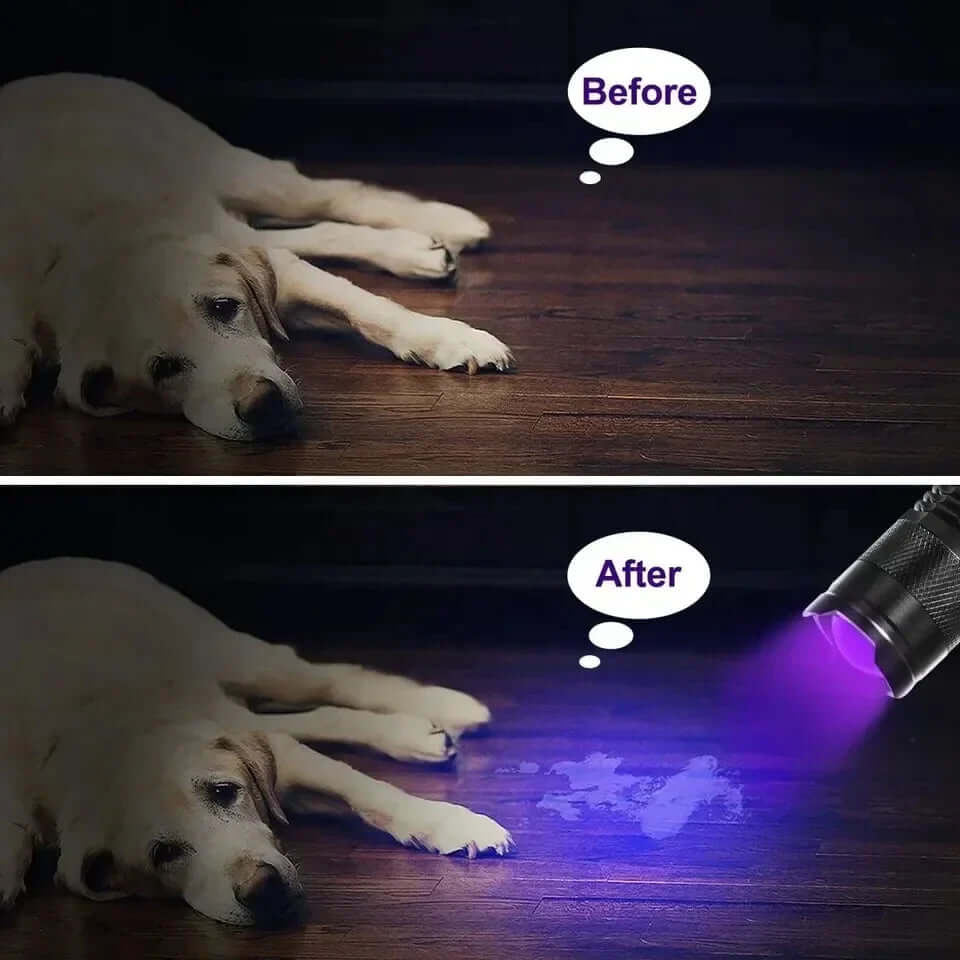 Lampe de poche UV LED - lampe à lumière noire pour taches