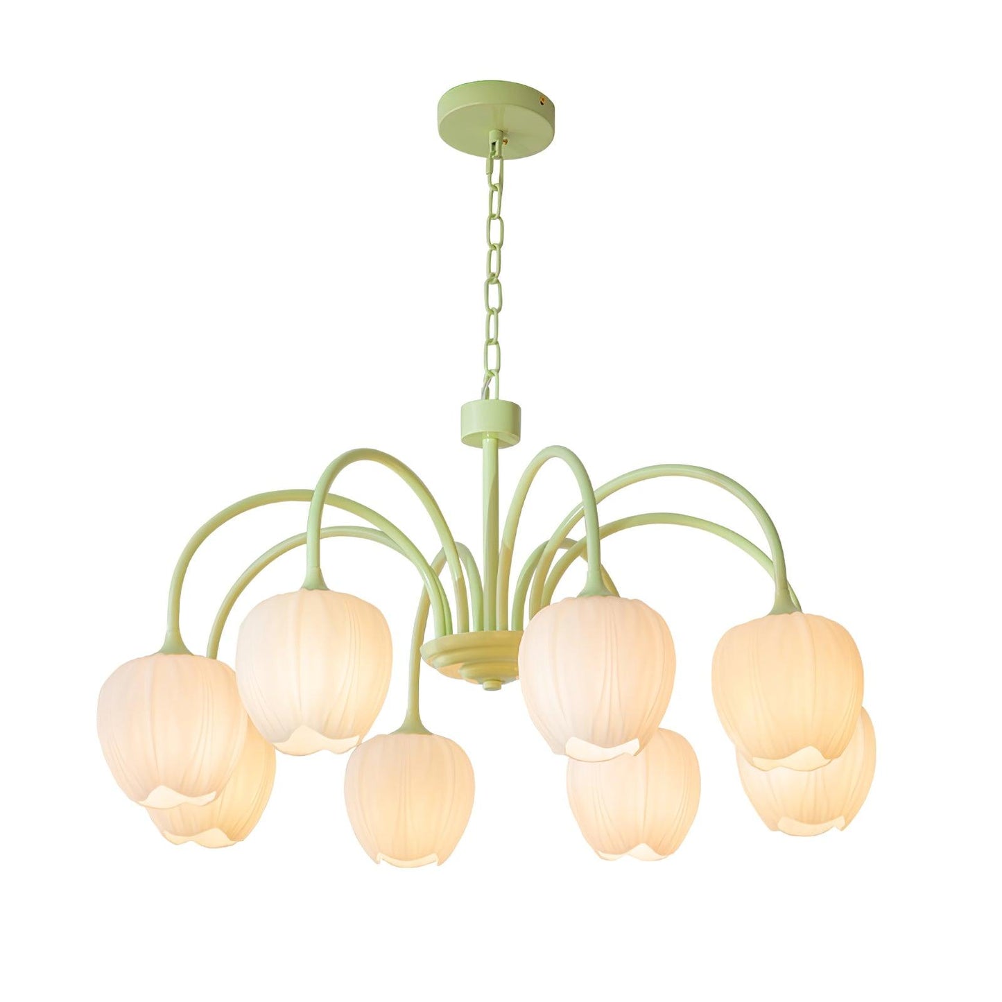 Tulpen-Matcha-Kronleuchter - 5-8 Leuchten