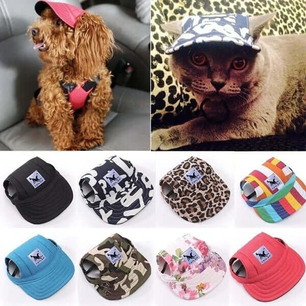 Casquette pour chien avec trous pour les oreilles et mentonnière