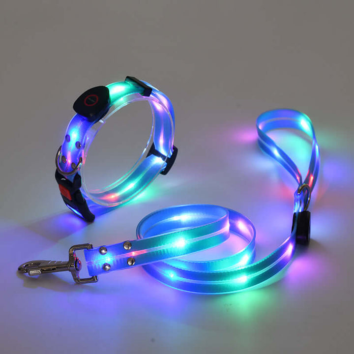 Collier LED pour chien avec laisse - Sûr et visible