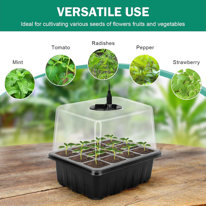 "Anzuchtset mit LED-Licht, ideal für Pflanzenzucht zuhause, zeigt blühende Setzlinge unter heller Beleuchtung."