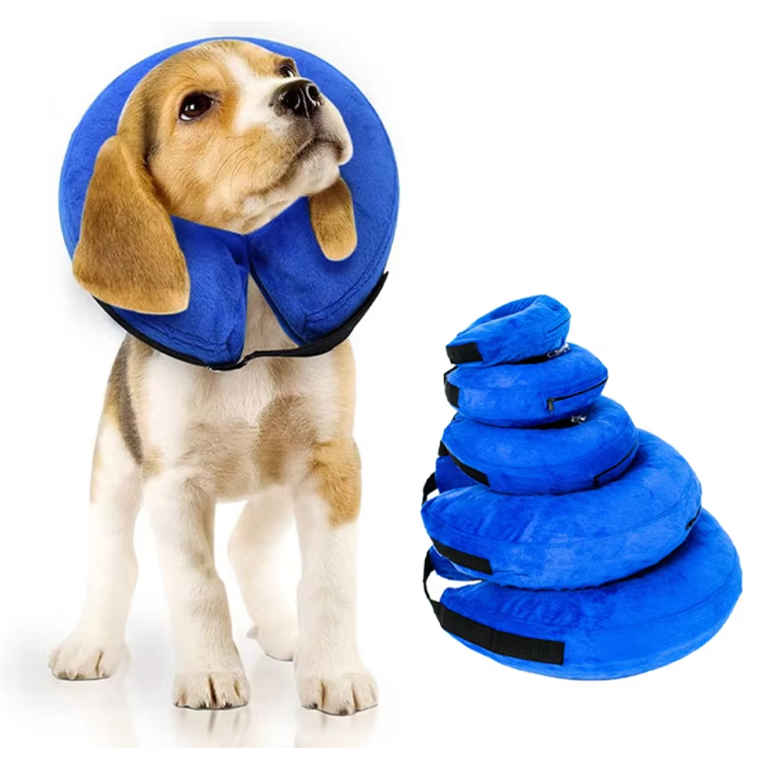 Aufblasbarer, blauer Hundekragen in Donut-Form für maximalem Komfort und Schutz nach Operationen.
