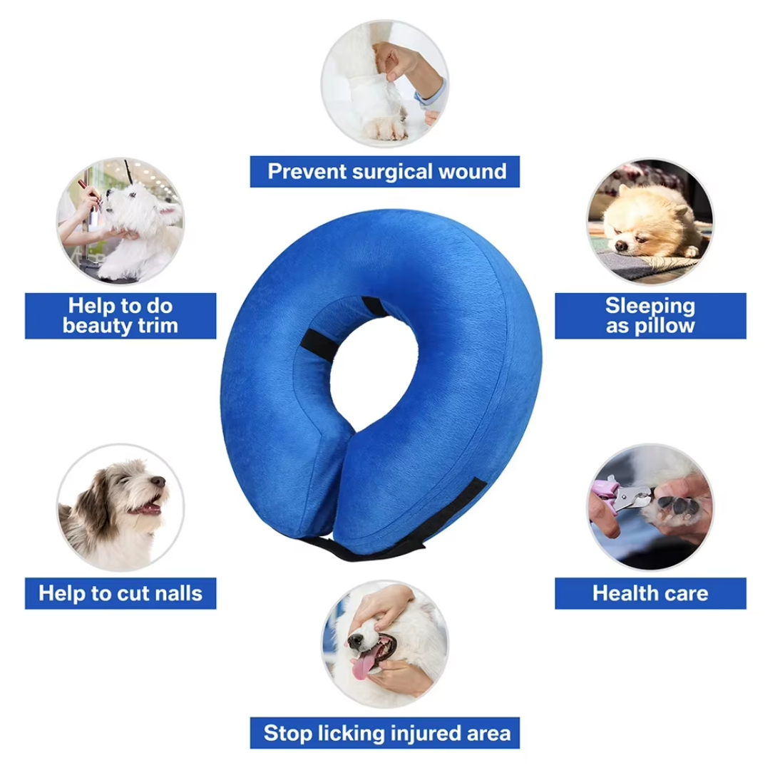 Aufblasbarer, blauer Hundekragen in Donut-Form für maximalem Komfort und Schutz nach Operationen.