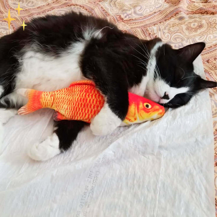 Ensemble de jouets interactifs pour chat - 4 poissons mobiles