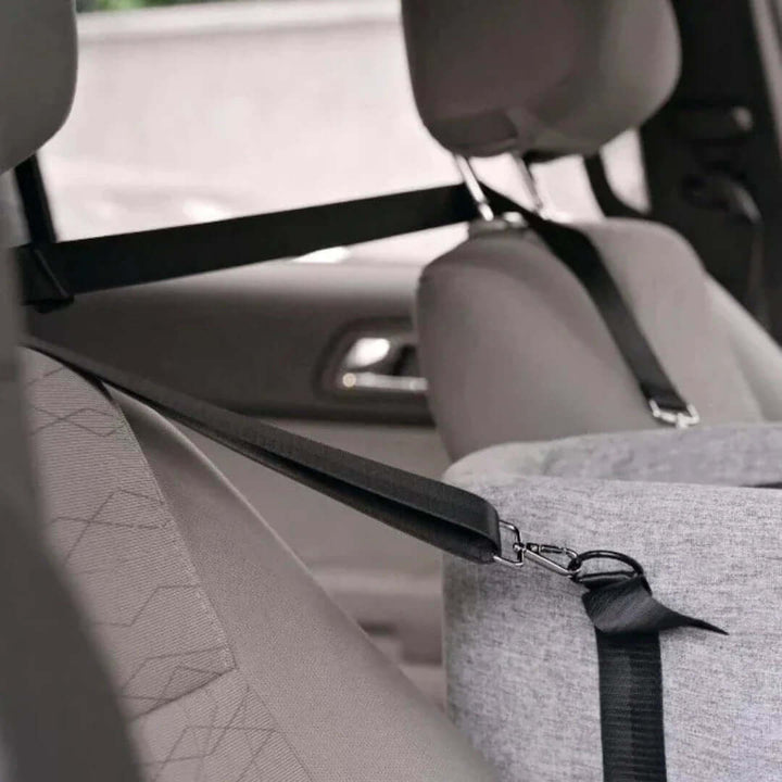 Siège auto surélevé pour chiens jusqu'à 11 kg