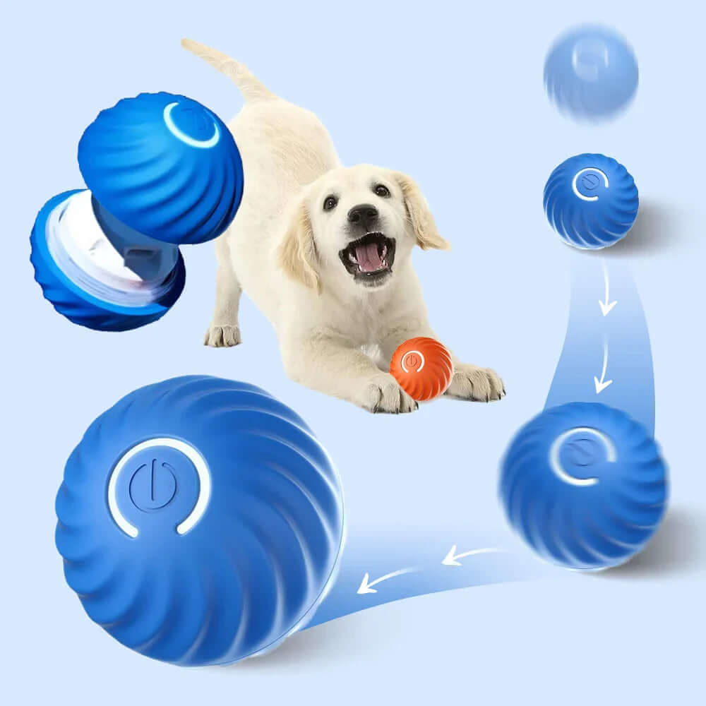 Jouet interactif à roulettes pour chien