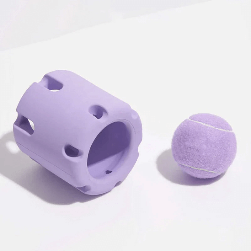 Hundespielzeug Springball für Zahnpflege & Spielspaß