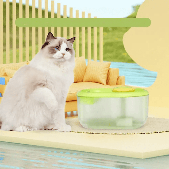 Automatischer Haustier Trinkbrunnen 2,2L