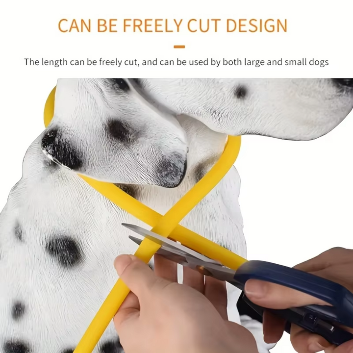 "Blaues leuchtendes LED-Hundehalsband, USB-wiederaufladbar, für sichere Spaziergänge bei Nacht, verstellbar und wetterfest."