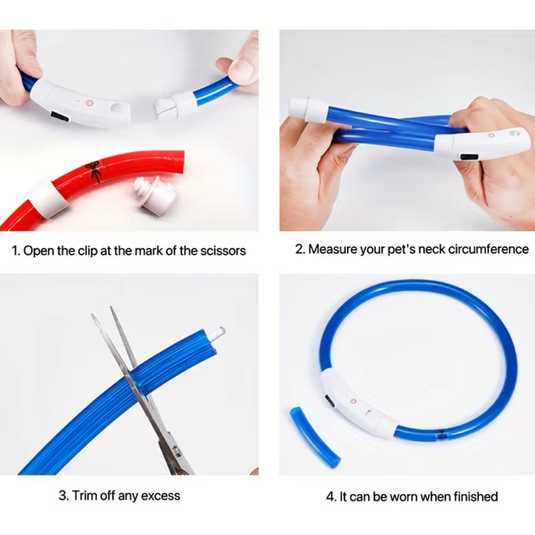 "Blaues leuchtendes LED-Hundehalsband, USB-wiederaufladbar, für sichere Spaziergänge bei Nacht, verstellbar und wetterfest."