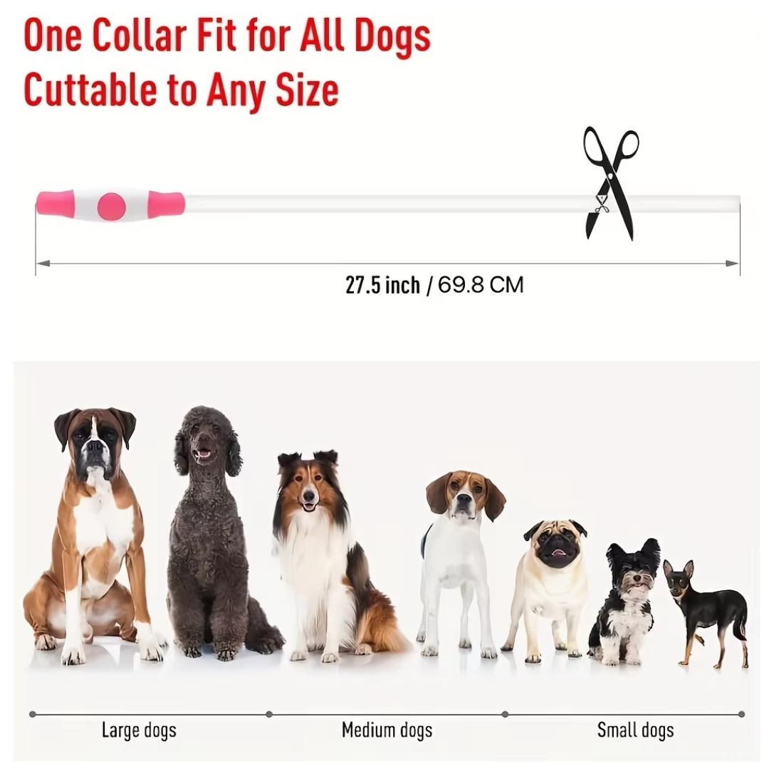 "Blaues leuchtendes LED-Hundehalsband, USB-wiederaufladbar, für sichere Spaziergänge bei Nacht, verstellbar und wetterfest."