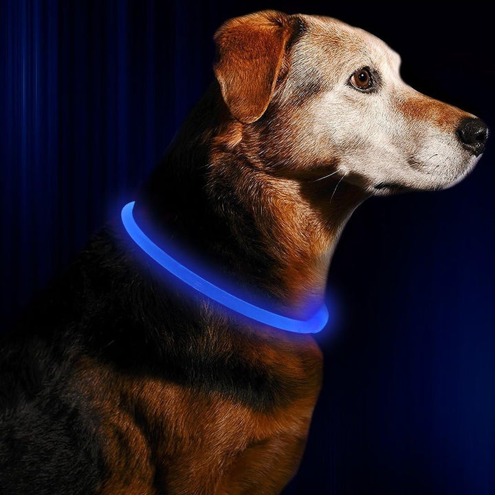 "Blaues leuchtendes LED-Hundehalsband, USB-wiederaufladbar, für sichere Spaziergänge bei Nacht, verstellbar und wetterfest."