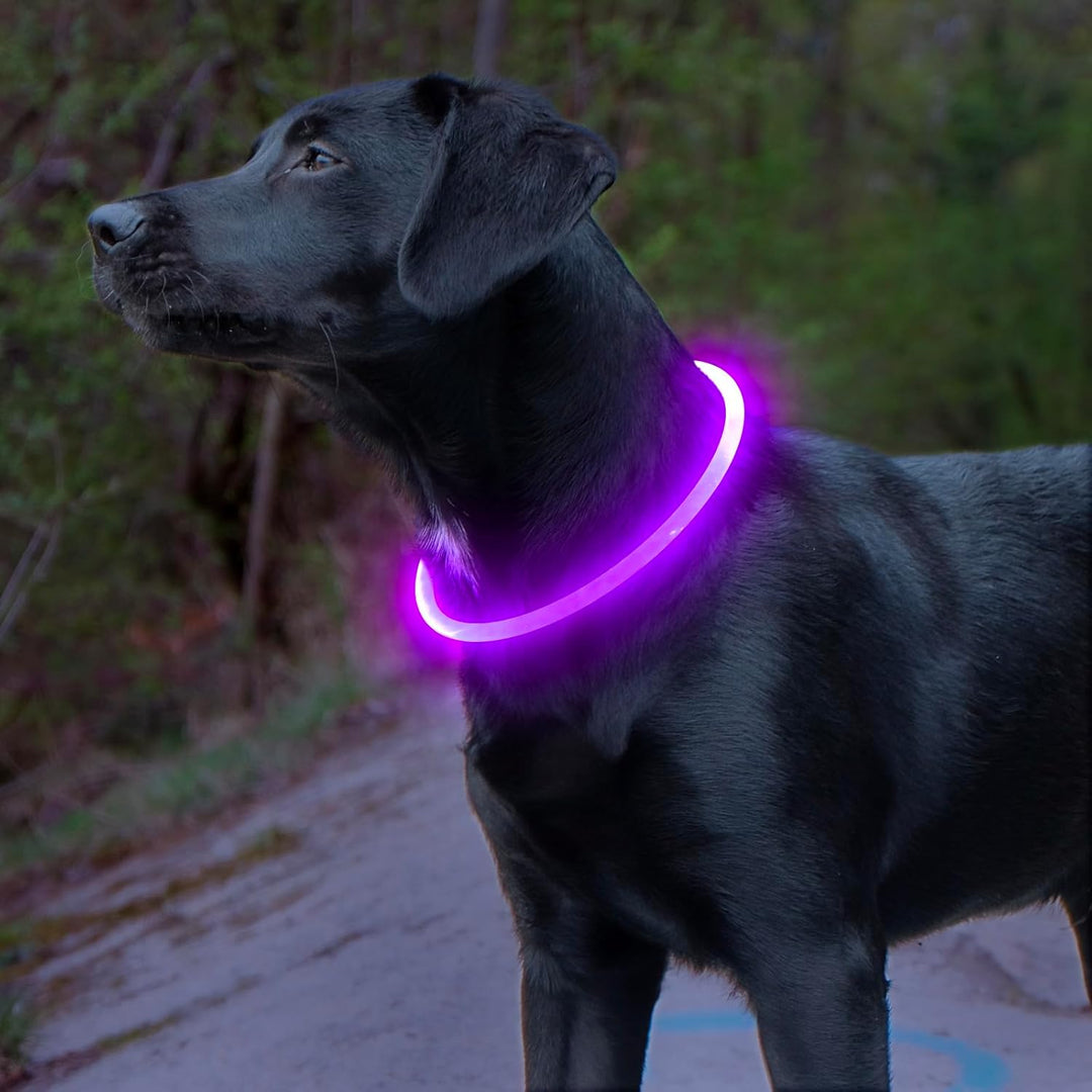"Blaues leuchtendes LED-Hundehalsband, USB-wiederaufladbar, für sichere Spaziergänge bei Nacht, verstellbar und wetterfest."