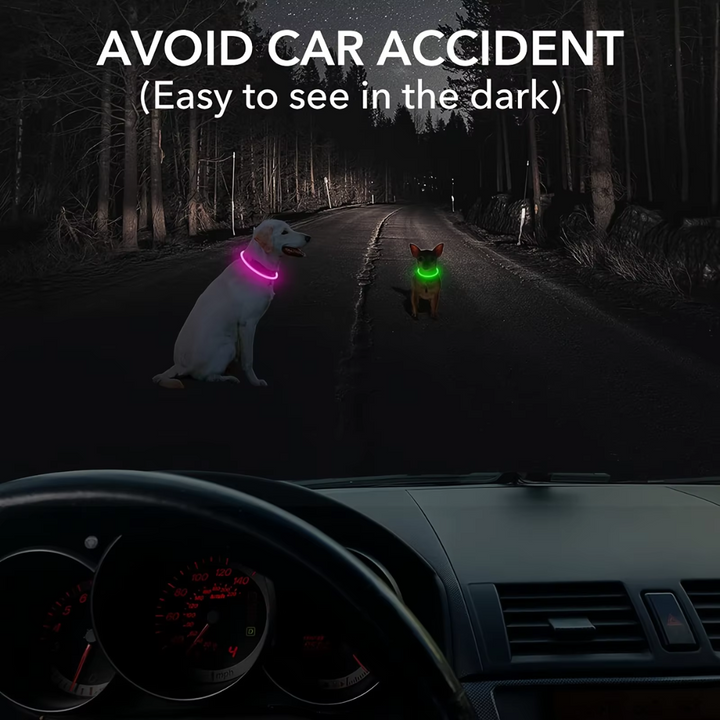 "Blaues leuchtendes LED-Hundehalsband, USB-wiederaufladbar, für sichere Spaziergänge bei Nacht, verstellbar und wetterfest."