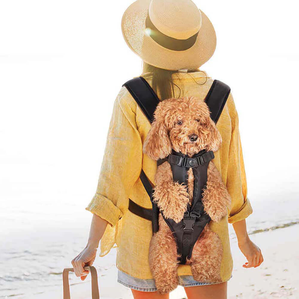 Hundetransport-Rucksack, verstellbar