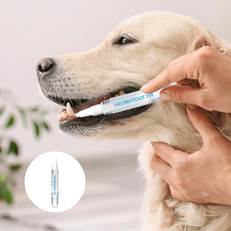 Stylo de soins dentaires pour chiens et chats