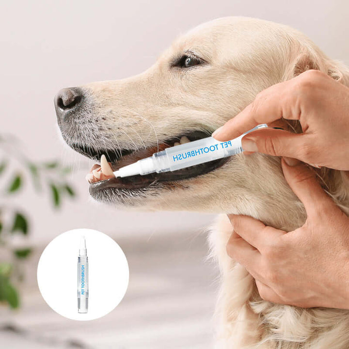 Stylo de soins dentaires pour chiens et chats