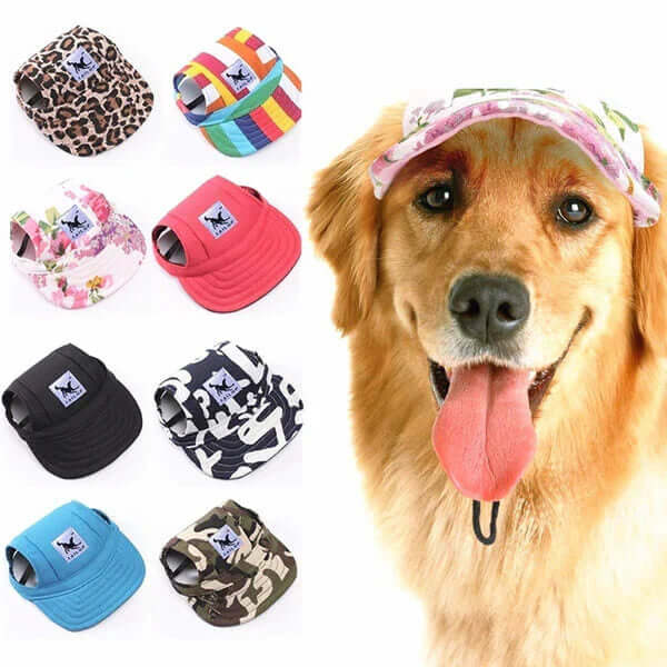 Casquette pour chien avec trous pour les oreilles et mentonnière