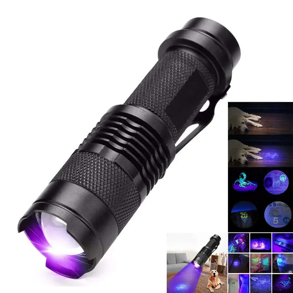 Lampe de poche UV LED - lampe à lumière noire pour taches