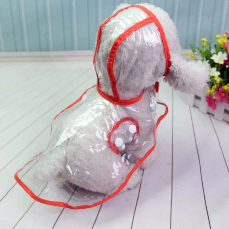 Veste imperméable transparente pour chien