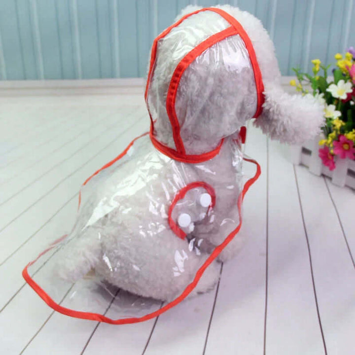 Veste imperméable transparente pour chien