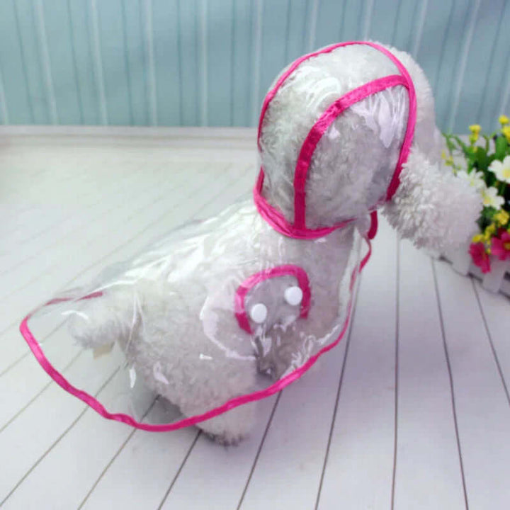 Veste imperméable transparente pour chien