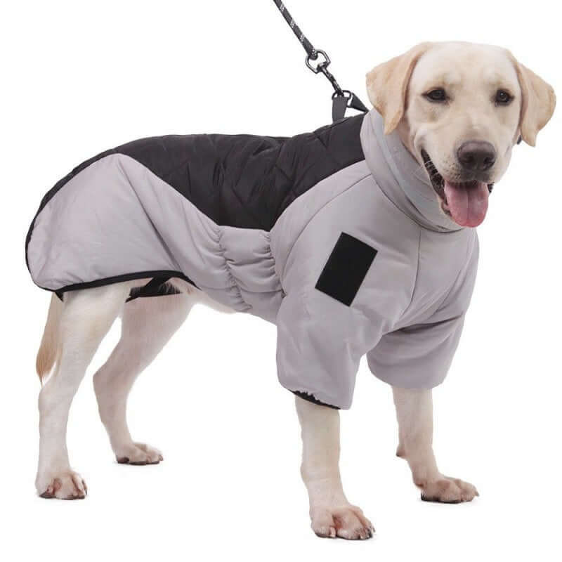 Wasserdichte Hundejacke für mittelgroße Hunde