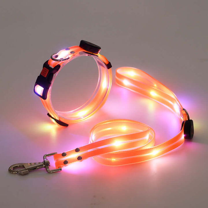 Collier LED pour chien avec laisse - Sûr et visible