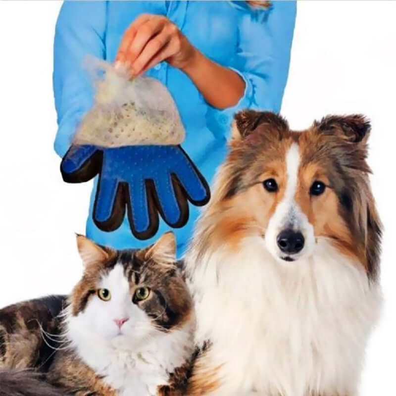 Tierhaarentfernung Handschuh - Hunde & Katzen