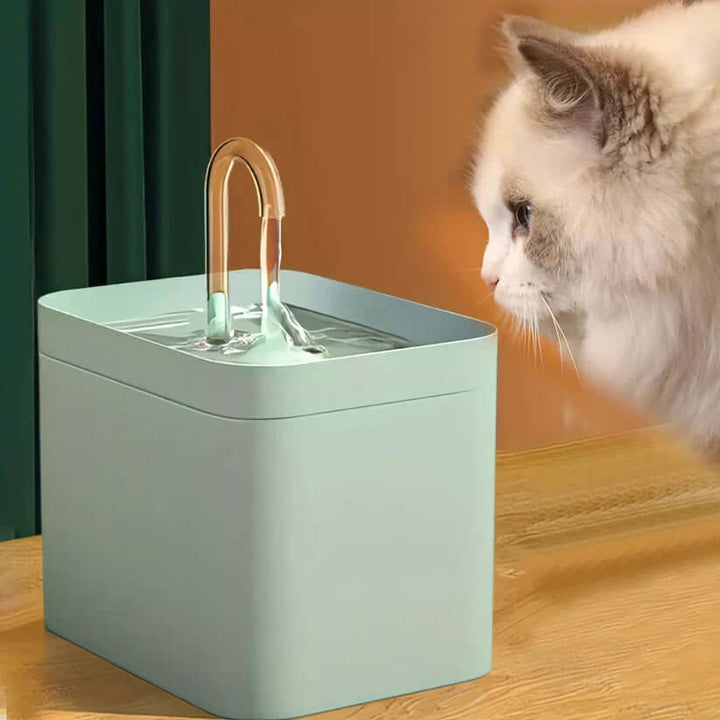 Fontaine à eau automatique pour chats