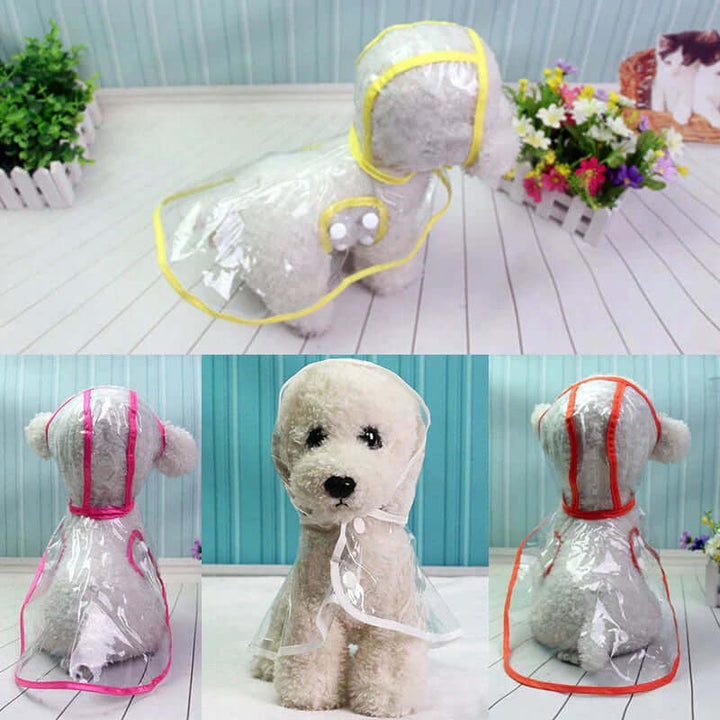 Veste imperméable transparente pour chien