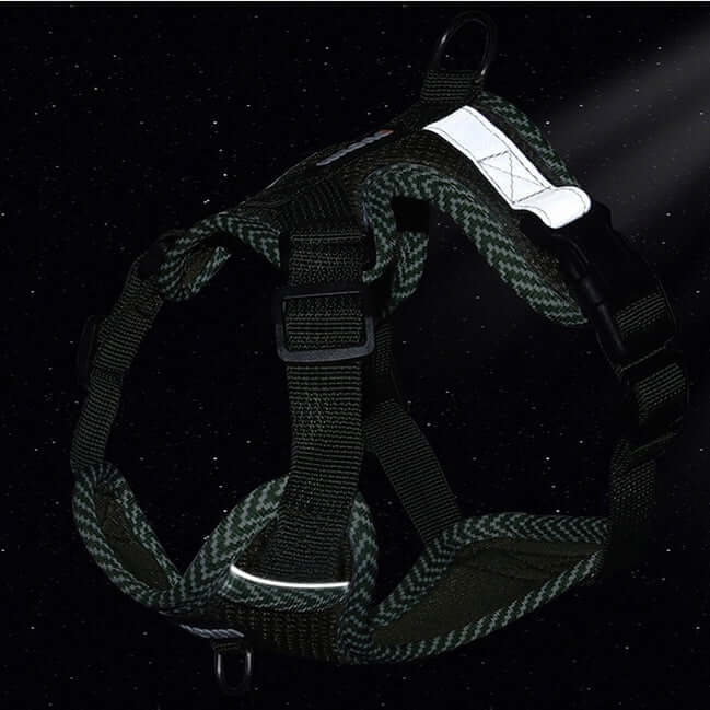 Reflektierendes Hundegeschirr & Leine Set