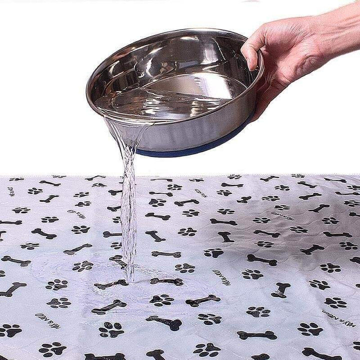 Tapis de dressage réutilisable pour chien