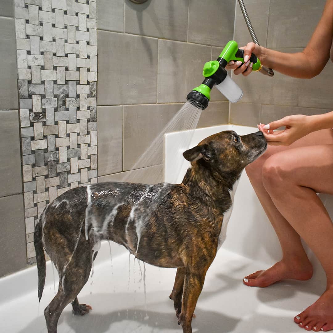Pommeau de douche pour chien pour un lavage rapide et facile