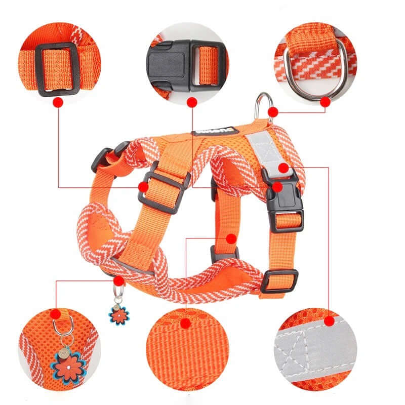 Reflektierendes Hundegeschirr & Leine Set