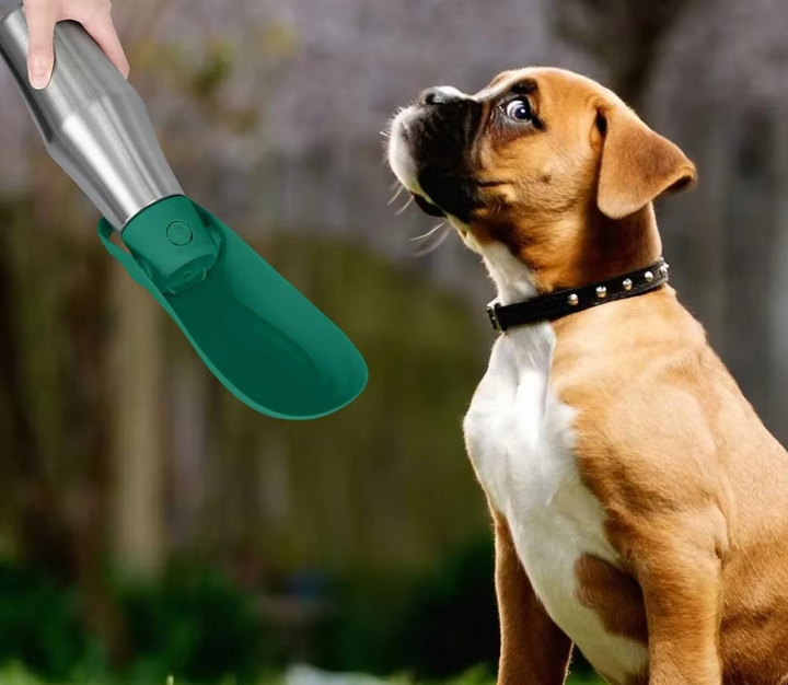 Edelstahl-Trinkflasche für Hunde mit integriertem faltbarem Napf, ideal für unterwegs, hygienisch und praktisch.