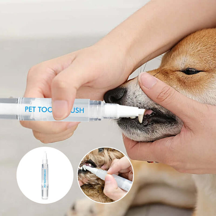 Stylo de soins dentaires pour chiens et chats
