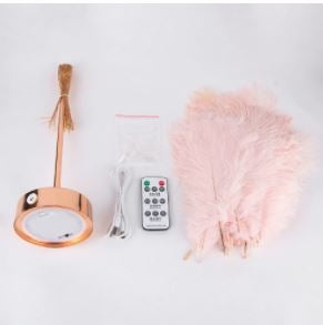 "Elegante Federlampe mit sanftem, diffusem Licht, sorgt für gemütliche Atmosphäre im Raum. Exquisites Federdesign."