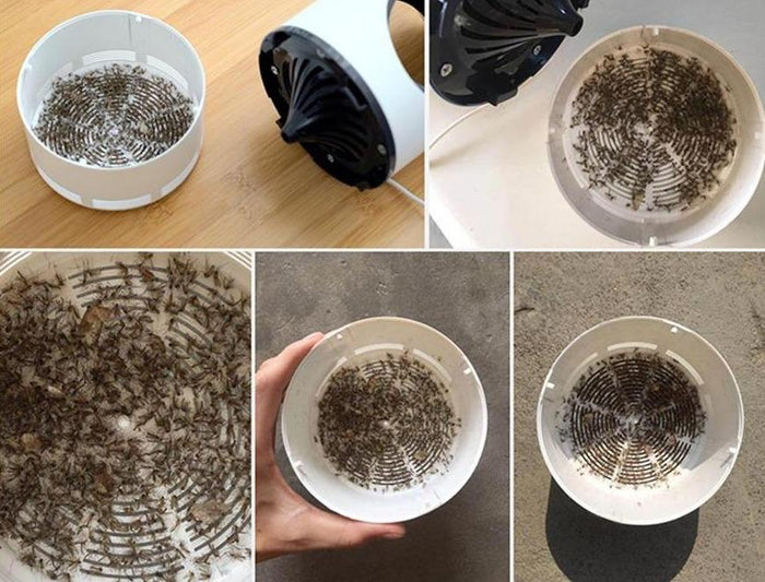 "Elektrische Mückenkiller-Lampe zieht Mücken mit UV-Licht an, leise und effektiv, ideal für ruhige Sommerabende."