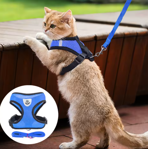 "Ergonomisches Katzengeschirr mit Leine, blau, für sicheren und bequemen Spaziergang, atmungsaktiv und verstellbar."
